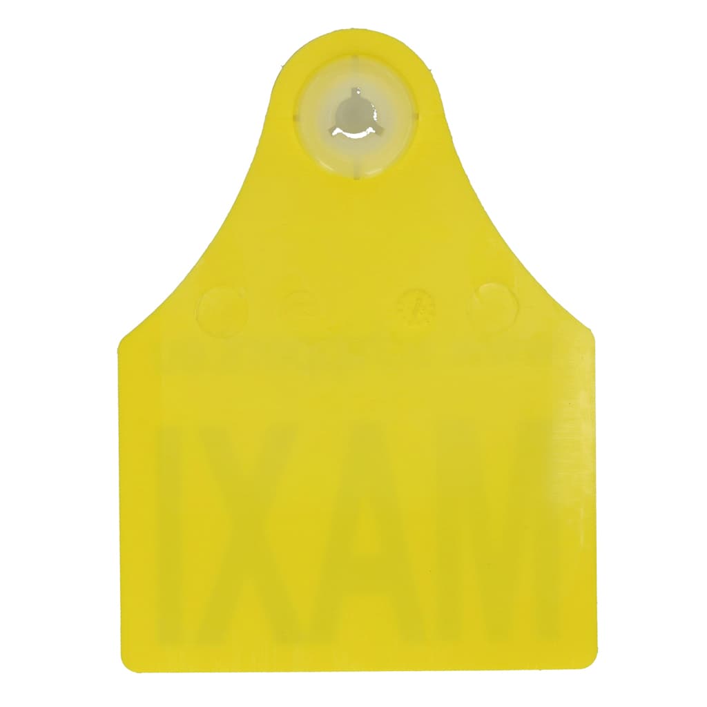 I&R 2x Jumbo Icar male + 2x Maxi Icar female - Printed