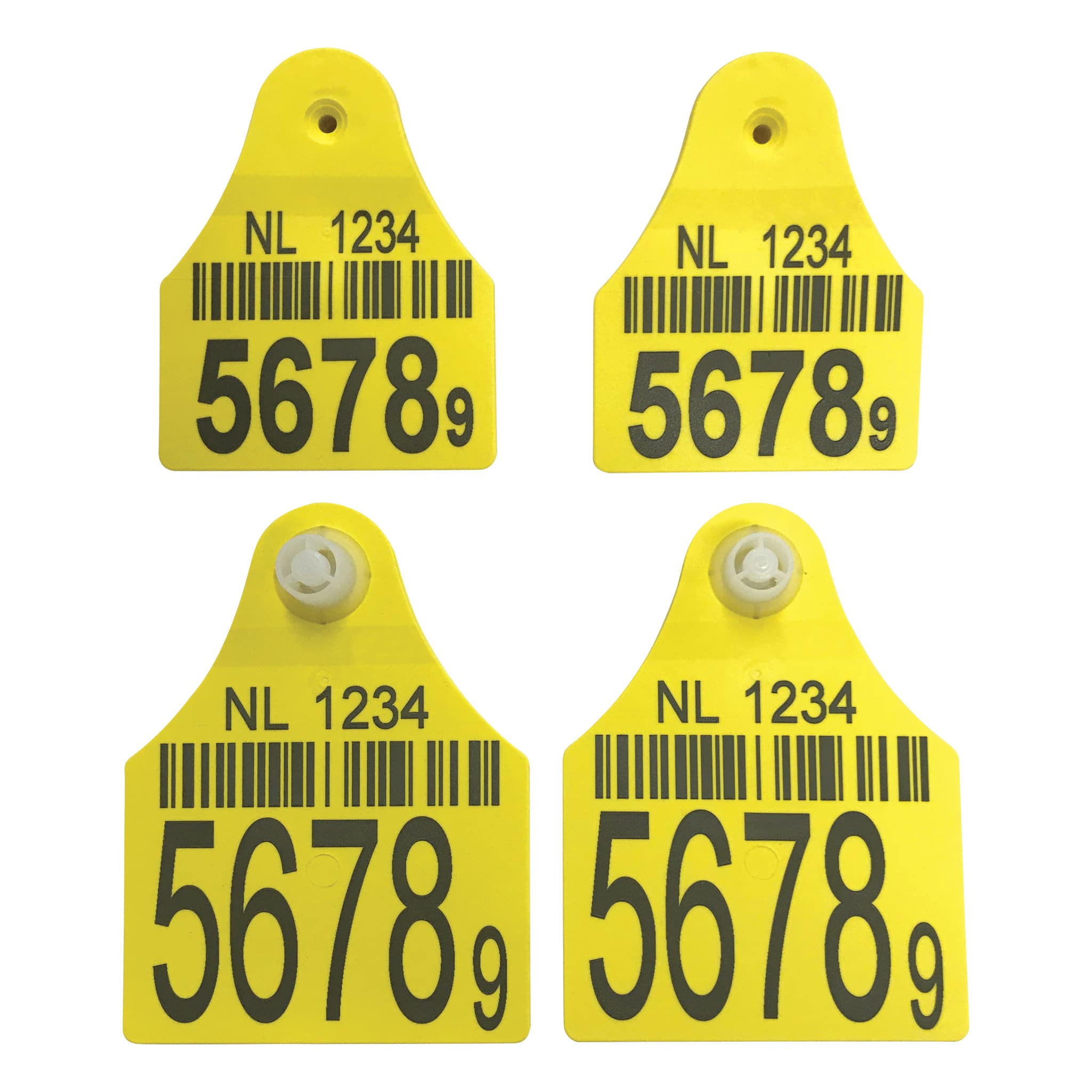 I&R 2x Jumbo Icar male + 2x Maxi Icar female - Printed